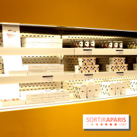 L'Eclair de Génie by Christophe Adam