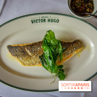 Le renouveau de la Brasserie Victor Hugo à Paris , les photos