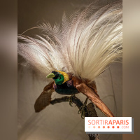 Exposition Christian Louboutin, l’Exhibitionniste au Palais de la Porte Dorée - photos 