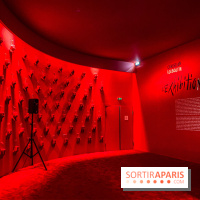 Exposition Christian Louboutin, l’Exhibitionniste au Palais de la Porte Dorée - photos 