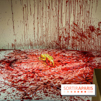 Exposition Christian Louboutin, l’Exhibitionniste au Palais de la Porte Dorée - photos 