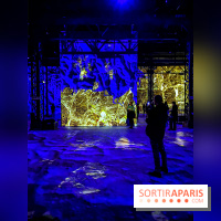 Yves Klein, l’Infini Bleu -  l’album photo