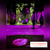 Yves Klein, l’Infini Bleu -  l’album photo