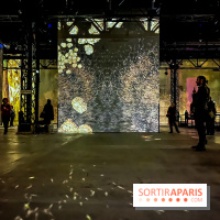 Yves Klein, l’Infini Bleu -  l’album photo