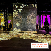 Yves Klein, l’Infini Bleu -  l’album photo