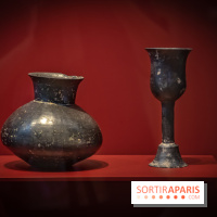 Réouverture du Musée Cernuschi : nos photos