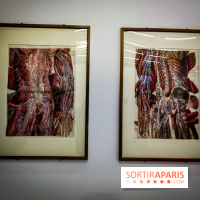 Le Cabaret du Néant, l'exposition au Château de Rentilly