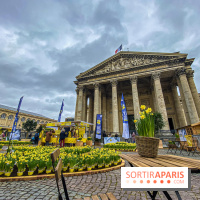 Une Jonquille pour Curie au Panthéon