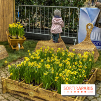 Une Jonquille pour Curie au Panthéon