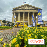 Une Jonquille pour Curie au Panthéon