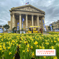 Une Jonquille pour Curie au Panthéon