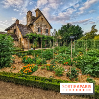 Le Domaine de Trianon et Hameau de la Reine