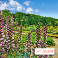 Visuel Paris Jardin des Plantes - Muséum MNHN