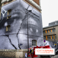 Hommage à Adama Traoré : l'artiste JR dévoile un collage géant à Paris, les photos