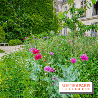 Le jardin des Arts-Albert Schweitzer à Paris, les photos
