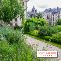 Le jardin des Arts-Albert Schweitzer à Paris, les photos