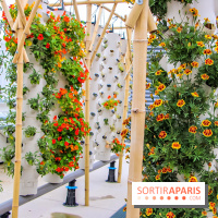 Le Perchoir ferme urbaine Porte de Versailles