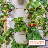 Le Perchoir ferme urbaine Porte de Versailles