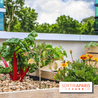 Le Perchoir ferme urbaine Porte de Versailles