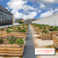 Le Perchoir ferme urbaine Porte de Versailles