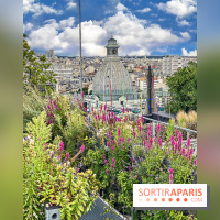 Laho, la terrasse en rooftop Gare de Lyon