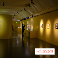 Fuji, pays de neige, l'exposition au musée Guimet - nos photos