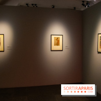 Fuji, pays de neige, l'exposition au musée Guimet - nos photos