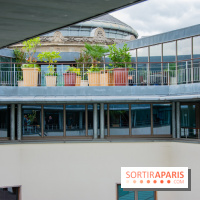 Le Musée Guimet ouvre sa terrasse estivale panoramique