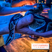 Photos du Dîner Safari du Zoo de Thoiry