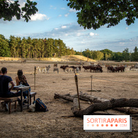 Photos du Dîner Safari du Zoo de Thoiry