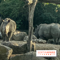 Photos du Dîner Safari du Zoo de Thoiry