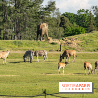 Photos du Dîner Safari du Zoo de Thoiry