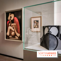 Picasso et la bande dessinée, l'expo au Musée Picasso-Paris