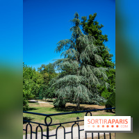 Le Waldorf Astoria Trianon Palace, un écrin royal au cœur du parc de Versailles