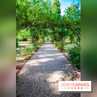 Le Waldorf Astoria Trianon Palace, un écrin royal au cœur du parc de Versailles