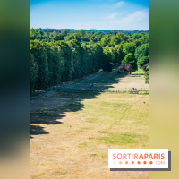 Le Waldorf Astoria Trianon Palace, un écrin royal au cœur du parc de Versailles