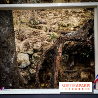 Sur les pas de Vincent Van Gogh, une balade à Auvers-sur-Oise