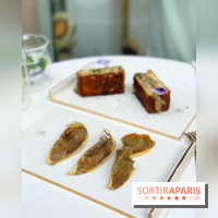 Maison Gazelle - été 2020