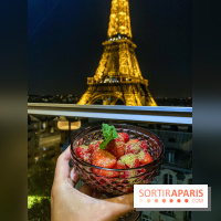 Frame Rooftop du Pullman Tour Eiffel, les photos