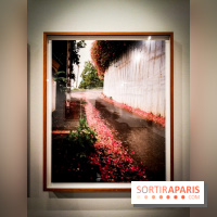 Soleil cou coupé, l'expo photo de Gregory Halpern à la Fondation Henri Cartier-Bresson