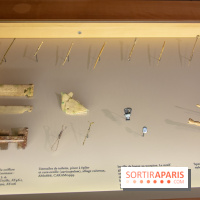 La Crypte archéologique de Paris sous Notre-Dame rouvre ses portes