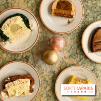 Bûches de Noël 2020 Angelina