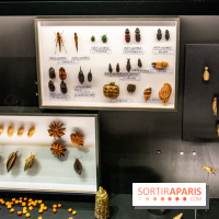 Akan, les valeurs de l'échange, l'expo à la Monnaie de Paris