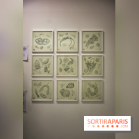 Exposition Lucy+Jorge Orta au Drawing Lab