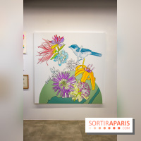 Exposition Lucy+Jorge Orta au Drawing Lab