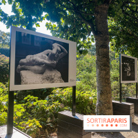 Photos : Rodin en son Jardin au Musée Rodin