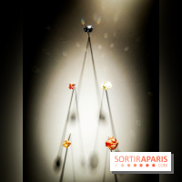 Exposition Pierres précieuses avec Van Cleef & Arpels au Muséum, nos photos