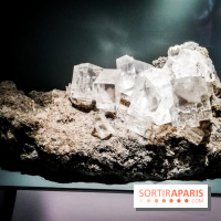 Exposition Pierres précieuses avec Van Cleef & Arpels au Muséum, nos photos