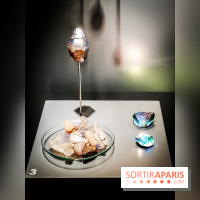 Exposition Pierres précieuses avec Van Cleef & Arpels au Muséum, nos photos