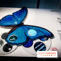 Bio-inspirée, la nouvelle expo permanente à la Cité des Sciences et de l'Industrie